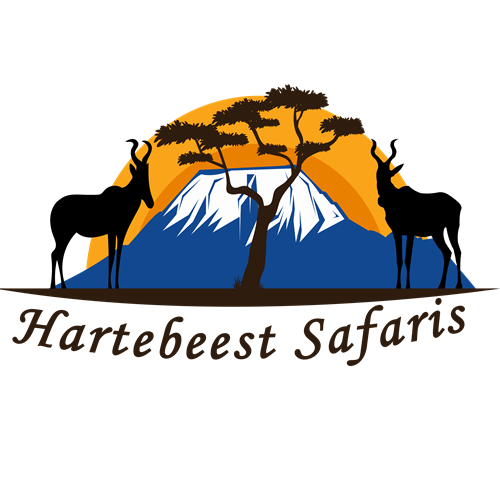 Hartebeest Safaris